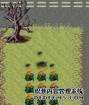 ̽Ol½ר֮ս